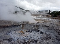 Yellowstone Norris Geyser Veteran Geyser (4).JPG